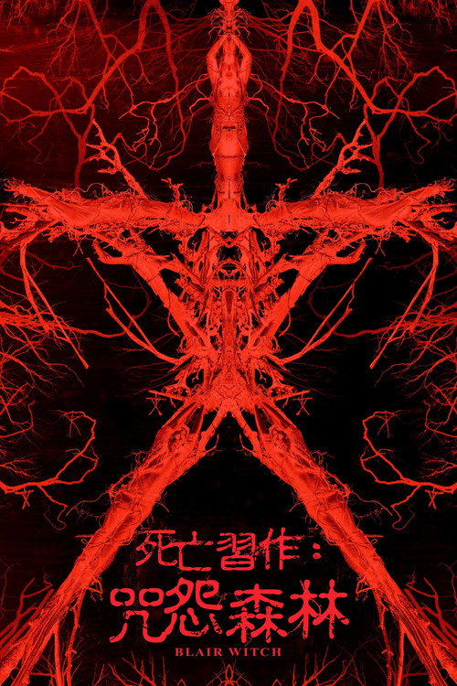 布莱尔女巫
