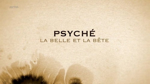 Image Psyché, la belle et la bête