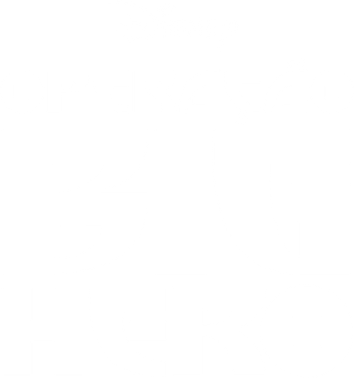 Operação Big Hero