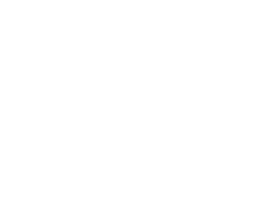 The Ultimate Braai Master