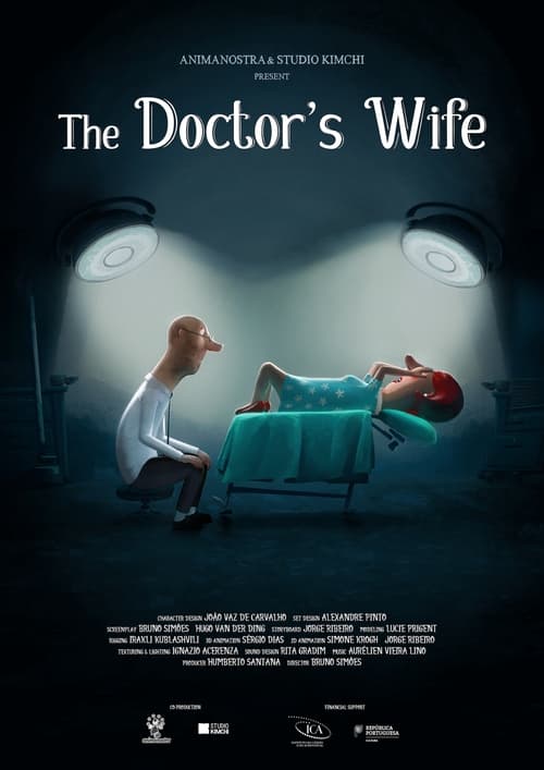 Where to stream The Doctor's Wife
