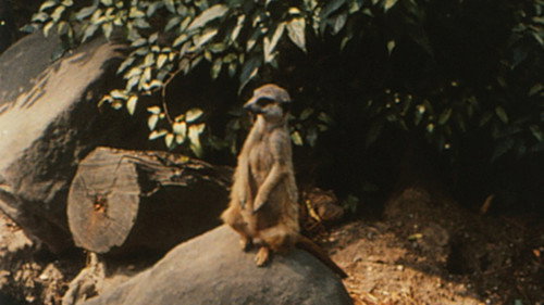 Envío  8 Backdrop Blur