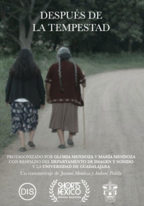 Después De La Tempestad poster