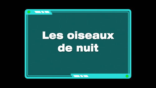 Image Les oiseaux de nuit