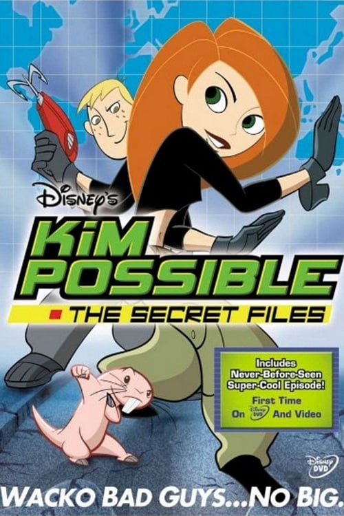 Kim Possible: The Secret Files Movie Poster Image