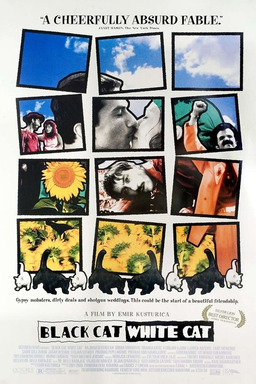 Black Cat, White Cat poster
