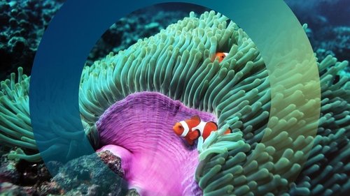 Image de l'épisode 26