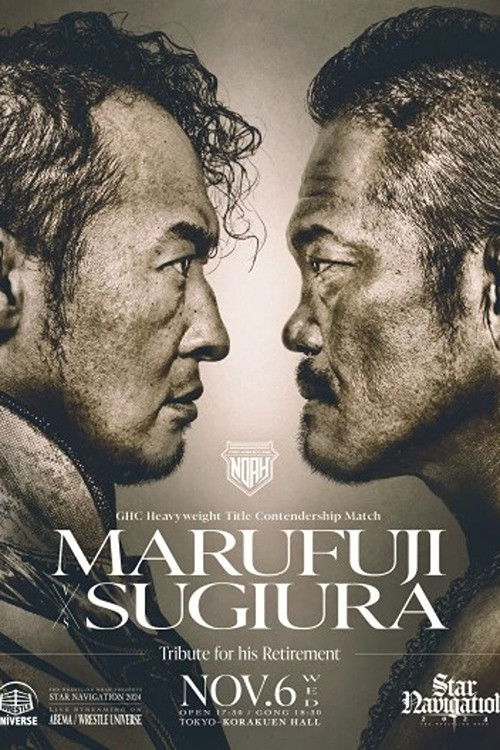 NOAH: Star Navigation 2024 - Day 9