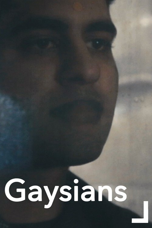 Gaysians movie poster player