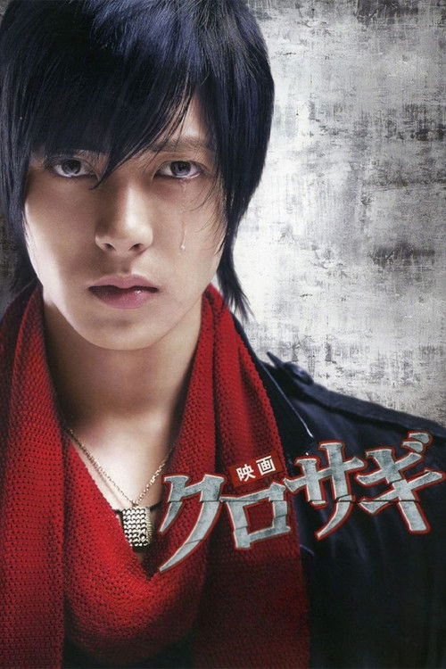 The Black Swindler poster