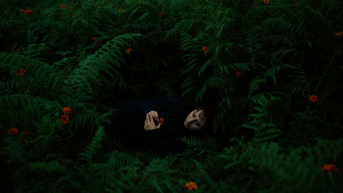 The Human Hibernation