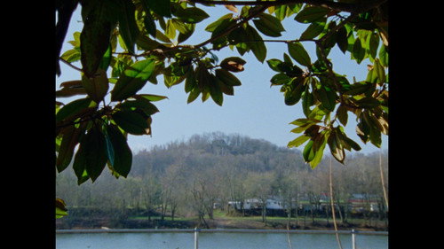 The House My Mother Left