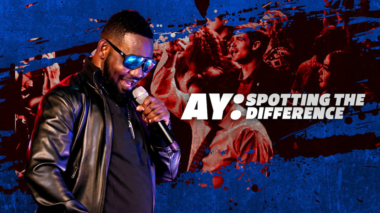AY: Spotting the Difference's poster