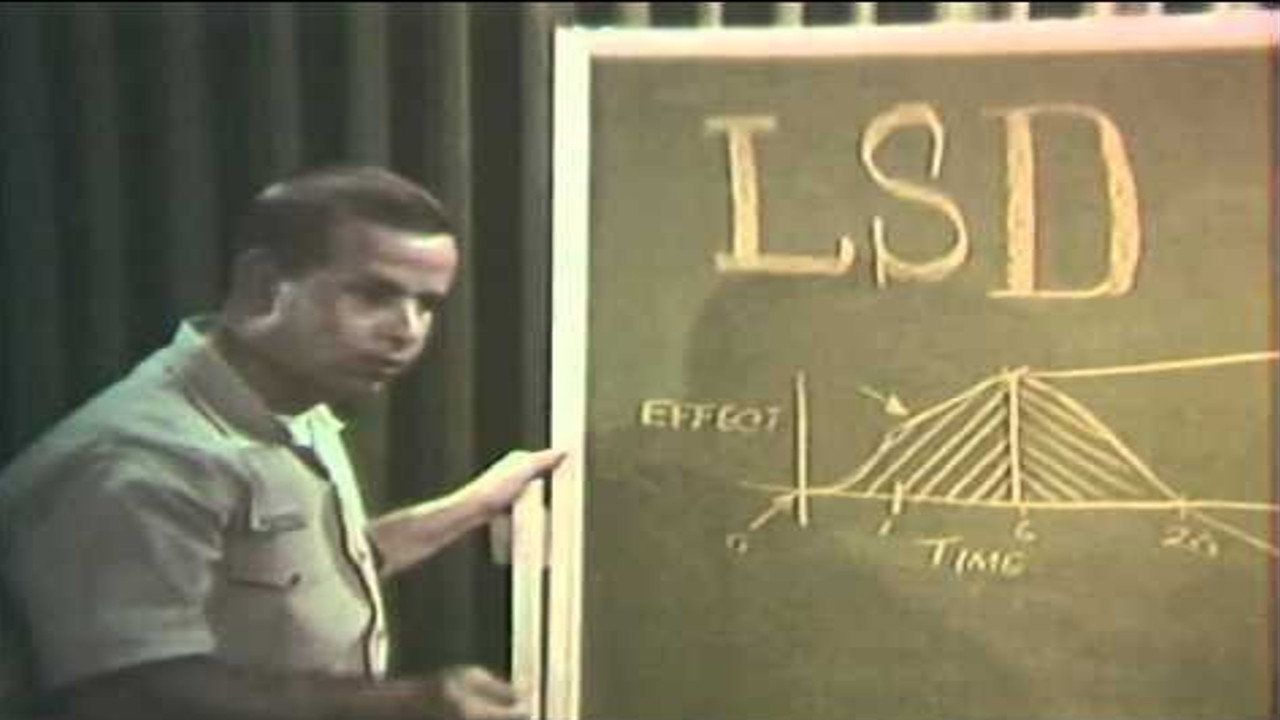 LSD's poster