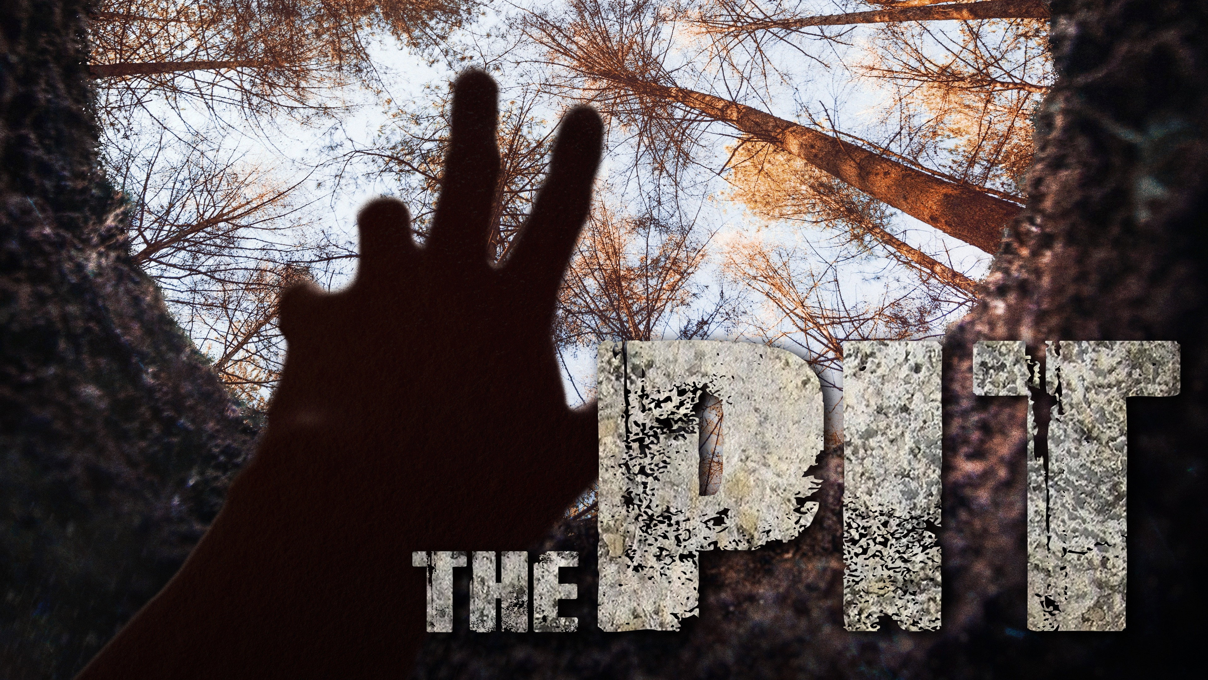 The Pit's poster