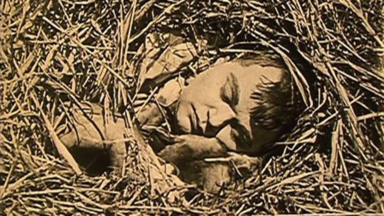 The Hayseed's poster
