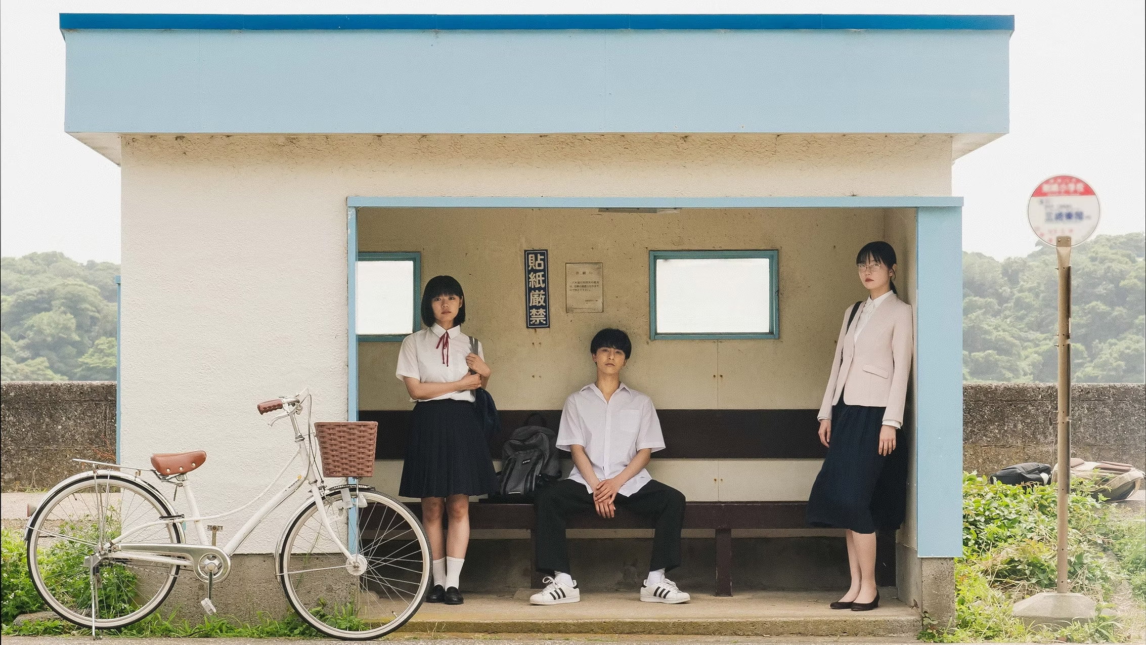 Young & Fine's poster