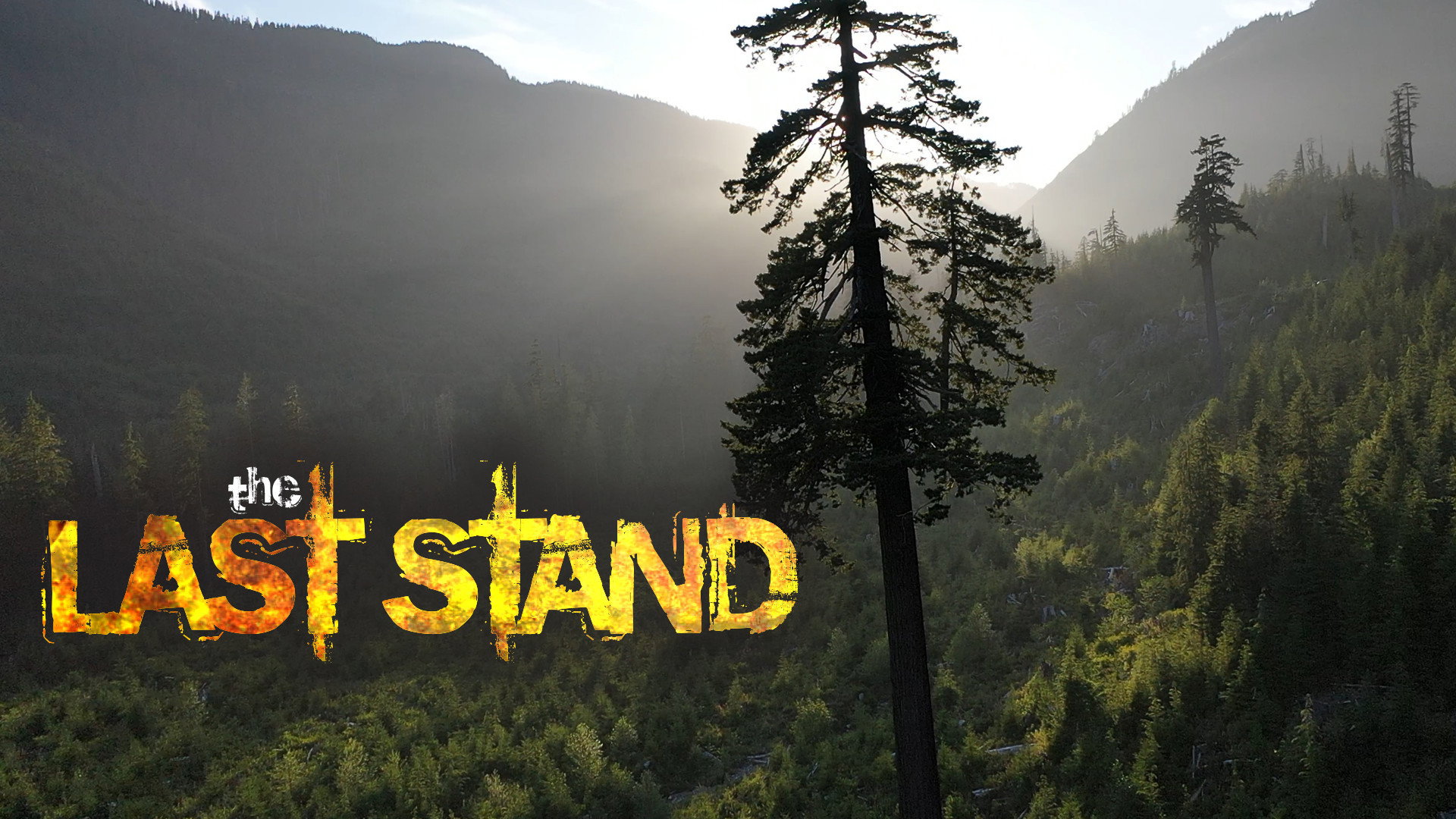 The Last Stand's poster
