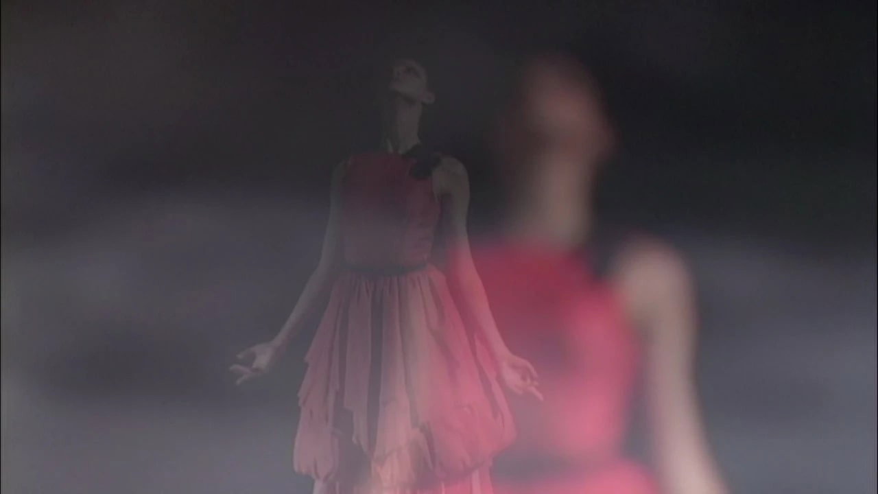 Ballerina's poster