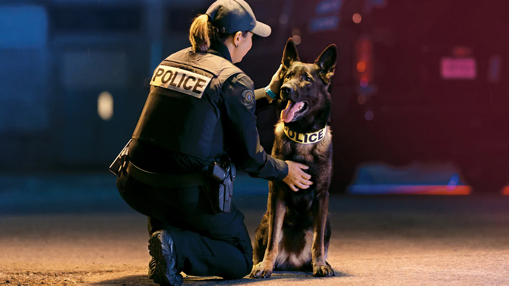 Unité canine's poster