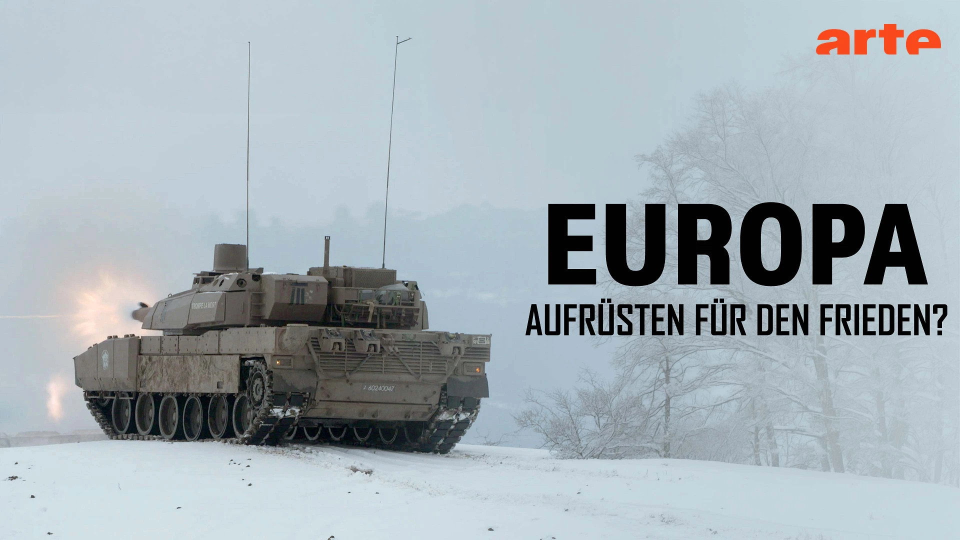 Defending Europe's poster