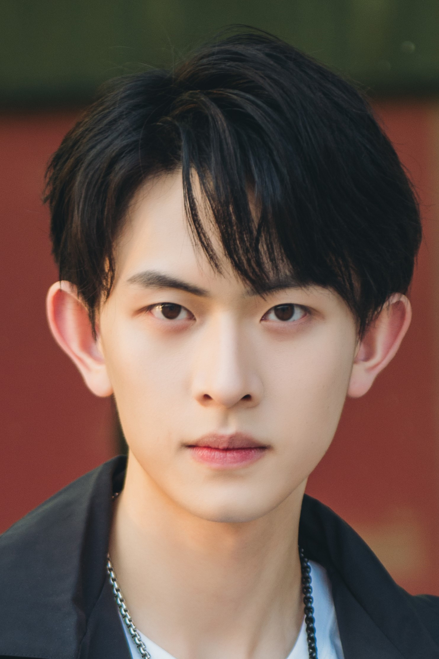 Chen Tianxiang's poster