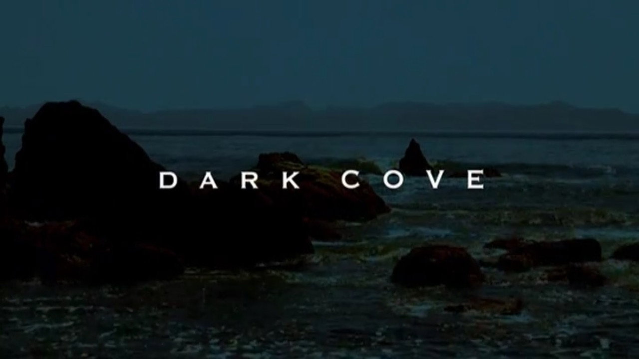 Dark Cove's poster