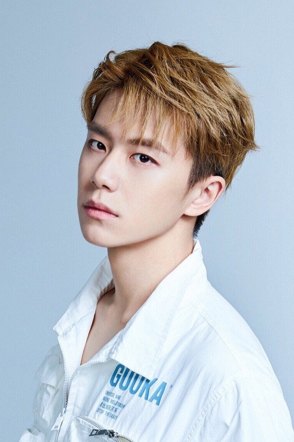 Pan Luyu's poster