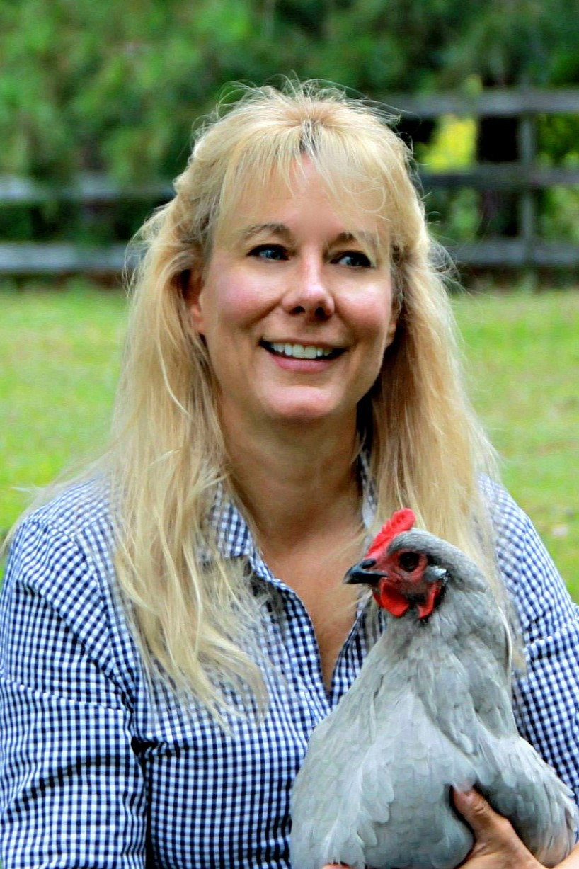 Lisa Steele's poster