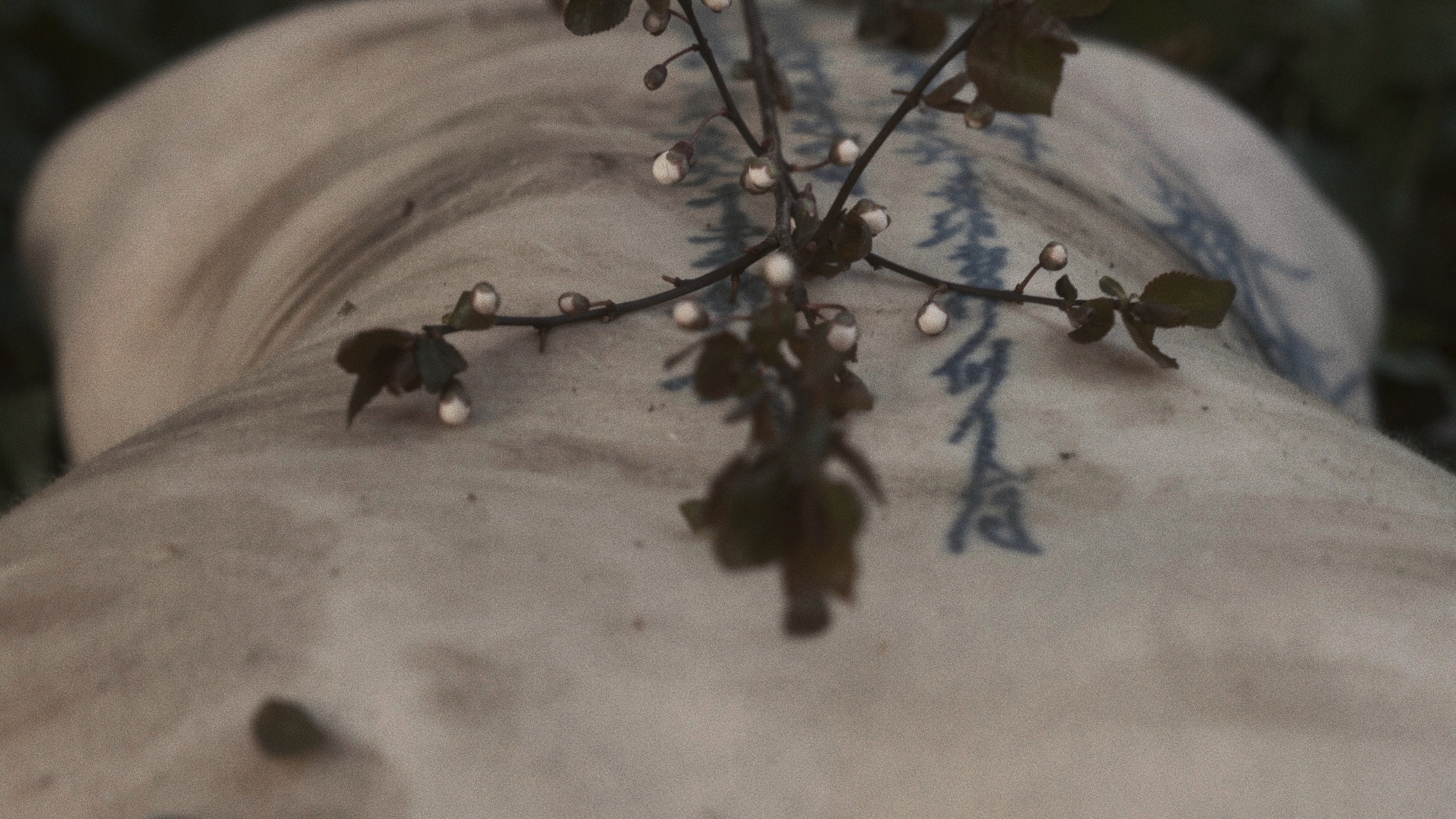 Rites of Spring's poster