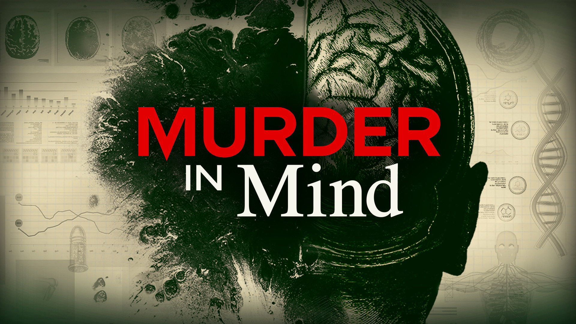 Murder in Mind's poster