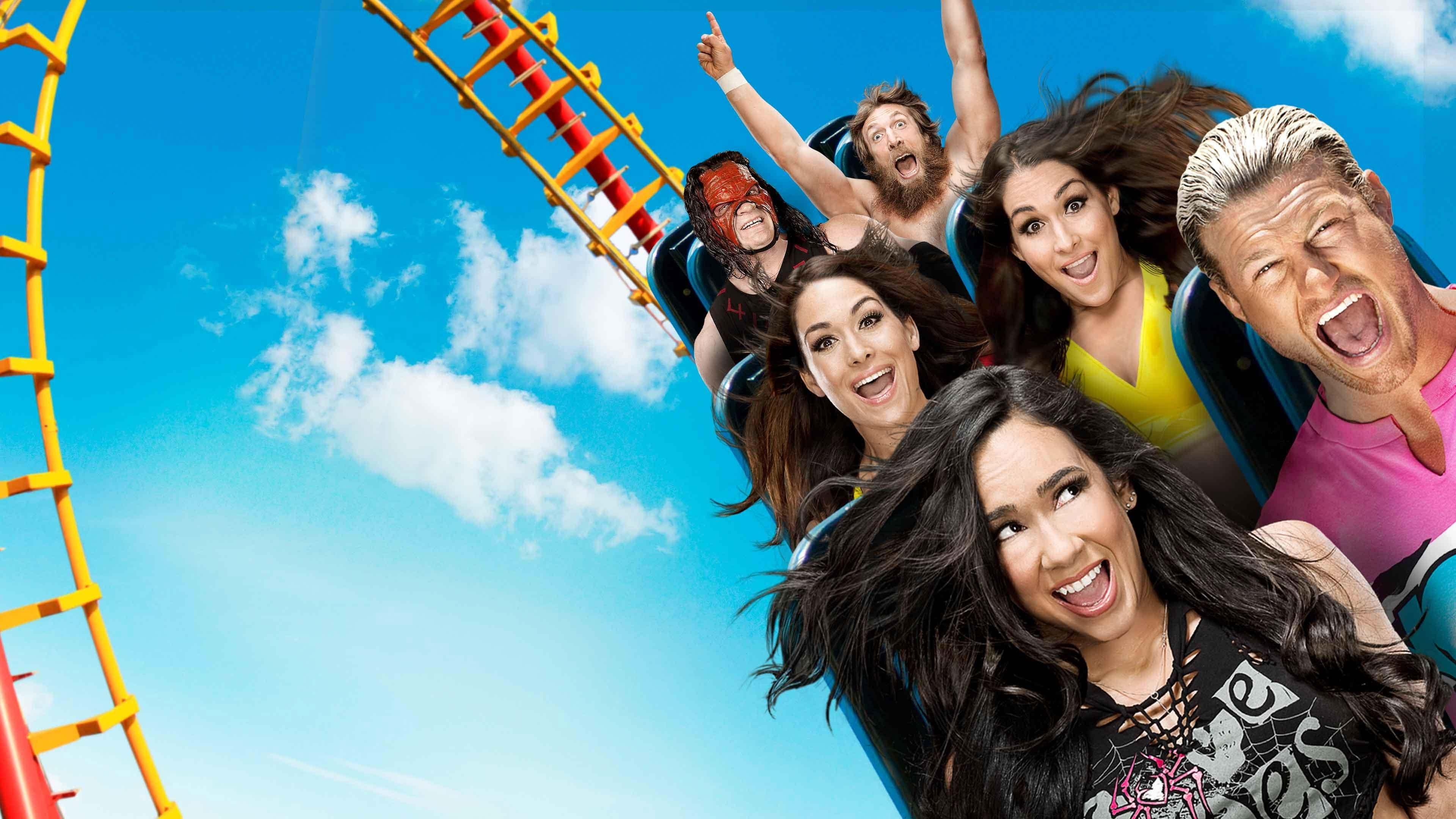 WWE SummerSlam 2013's poster