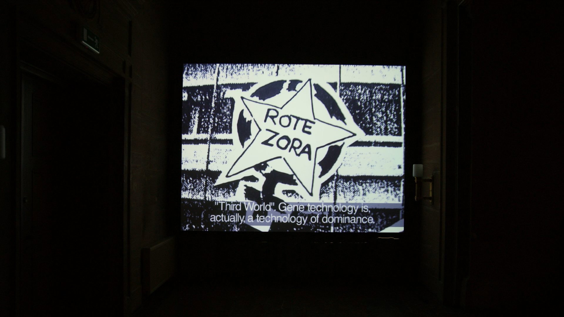 Rote Zora's poster