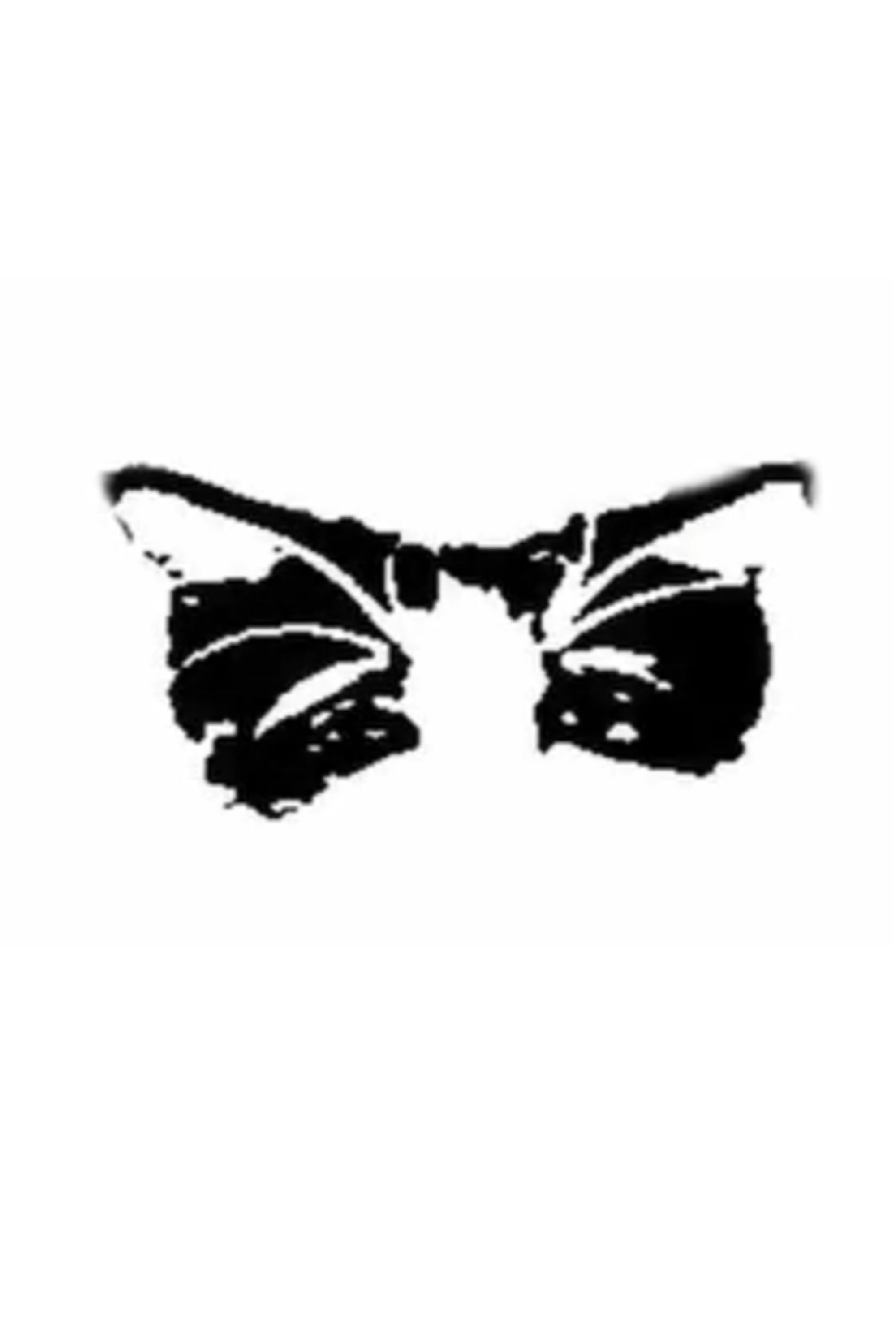 The Lobotomy Cat's poster