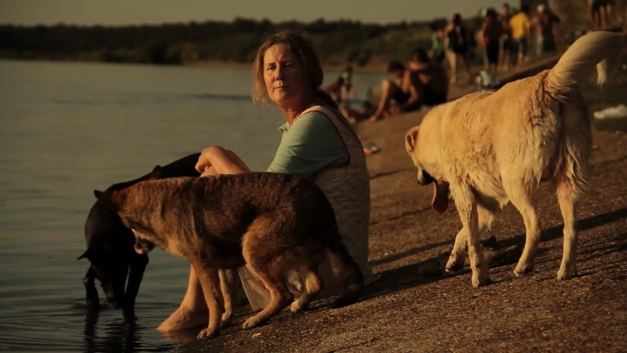 Dog Lady's poster