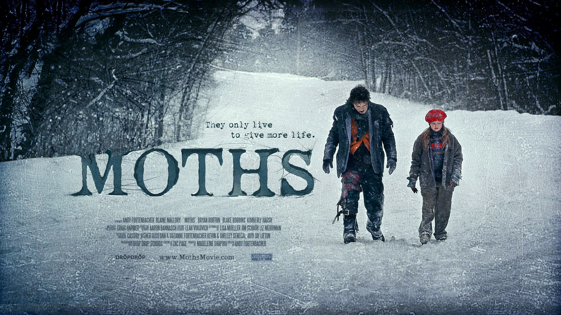Moths's poster