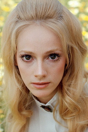 Sondra Locke's poster
