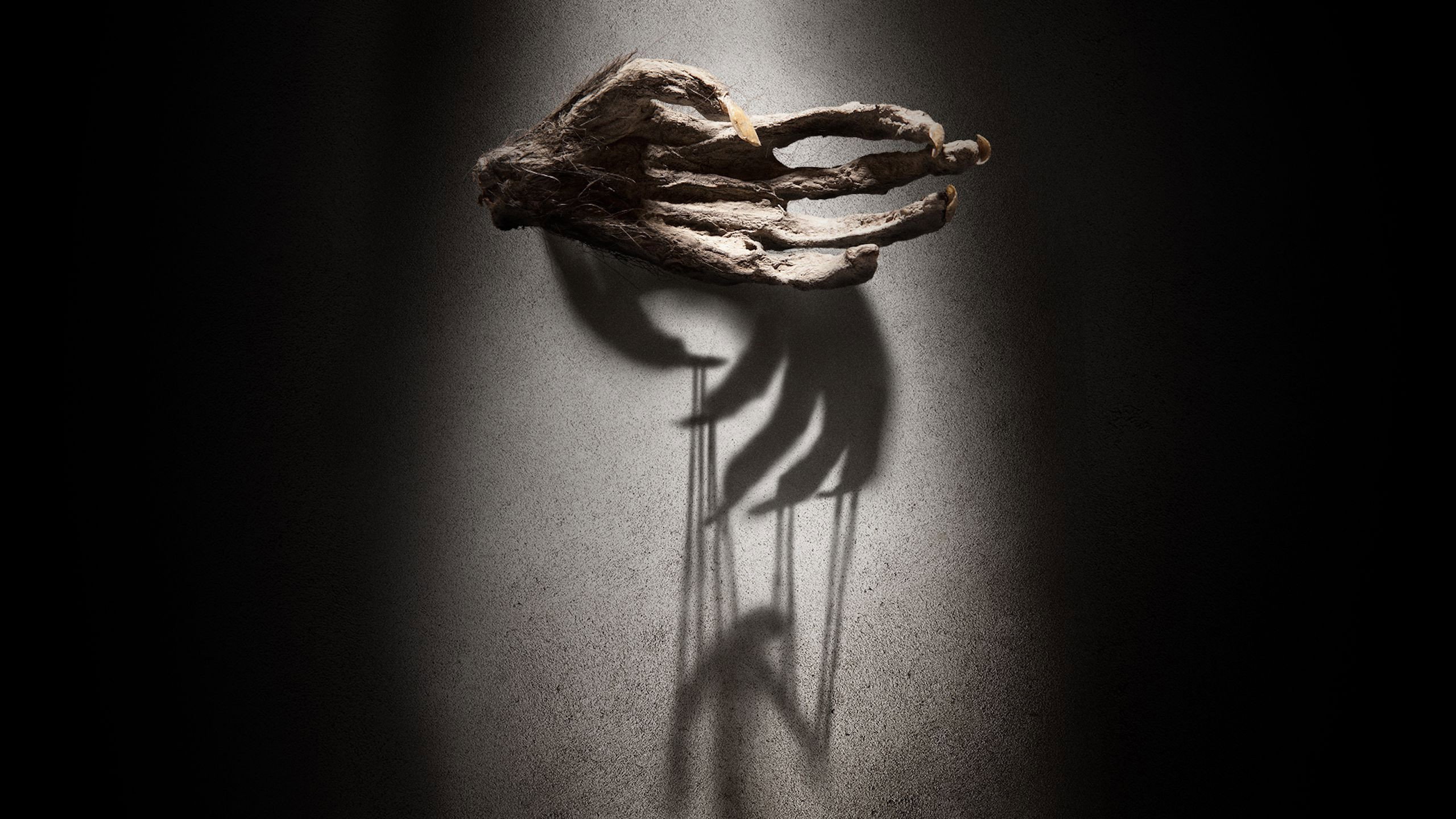 The Monkey's Paw's poster