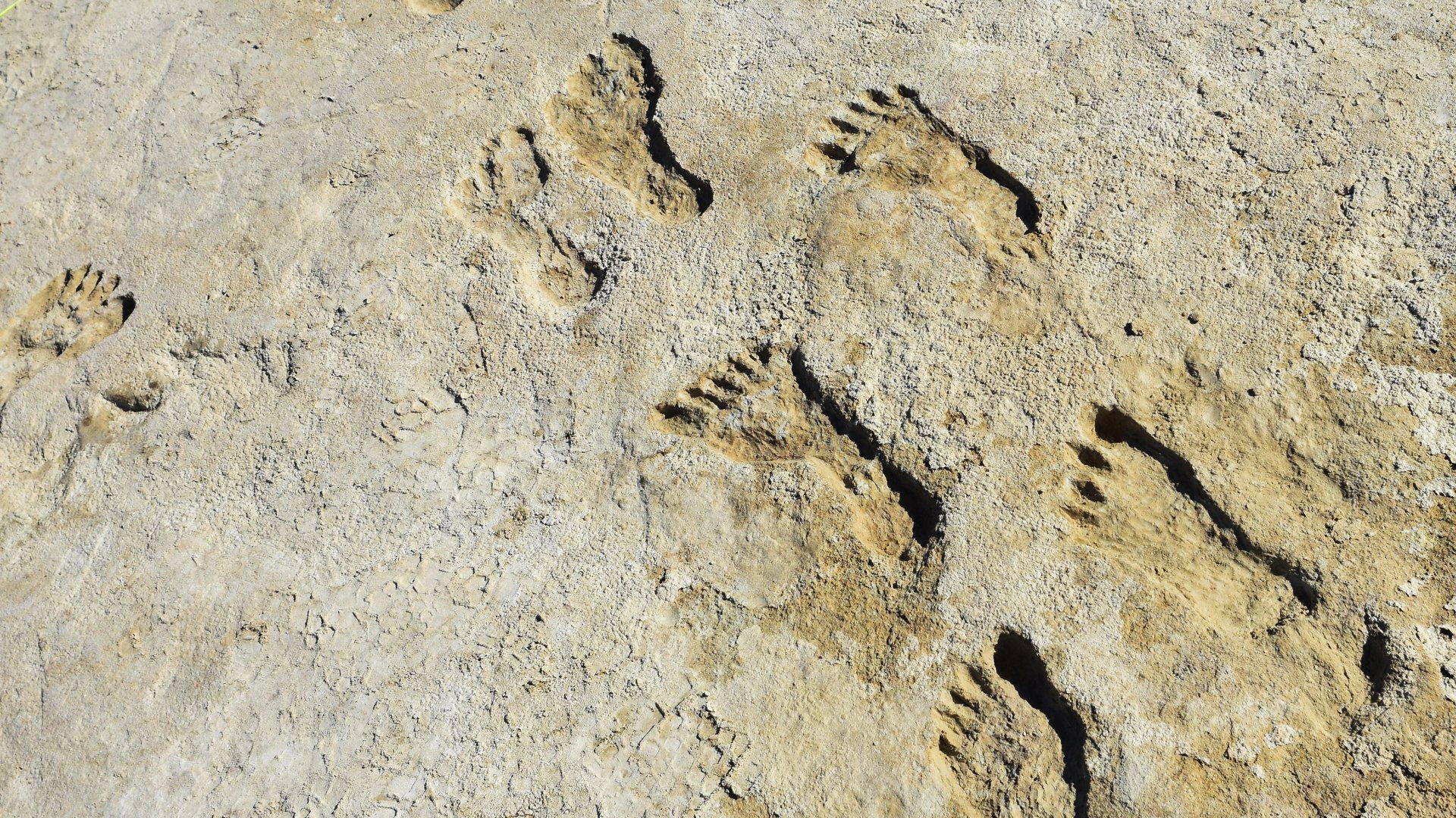 Ice Age Footprints's poster