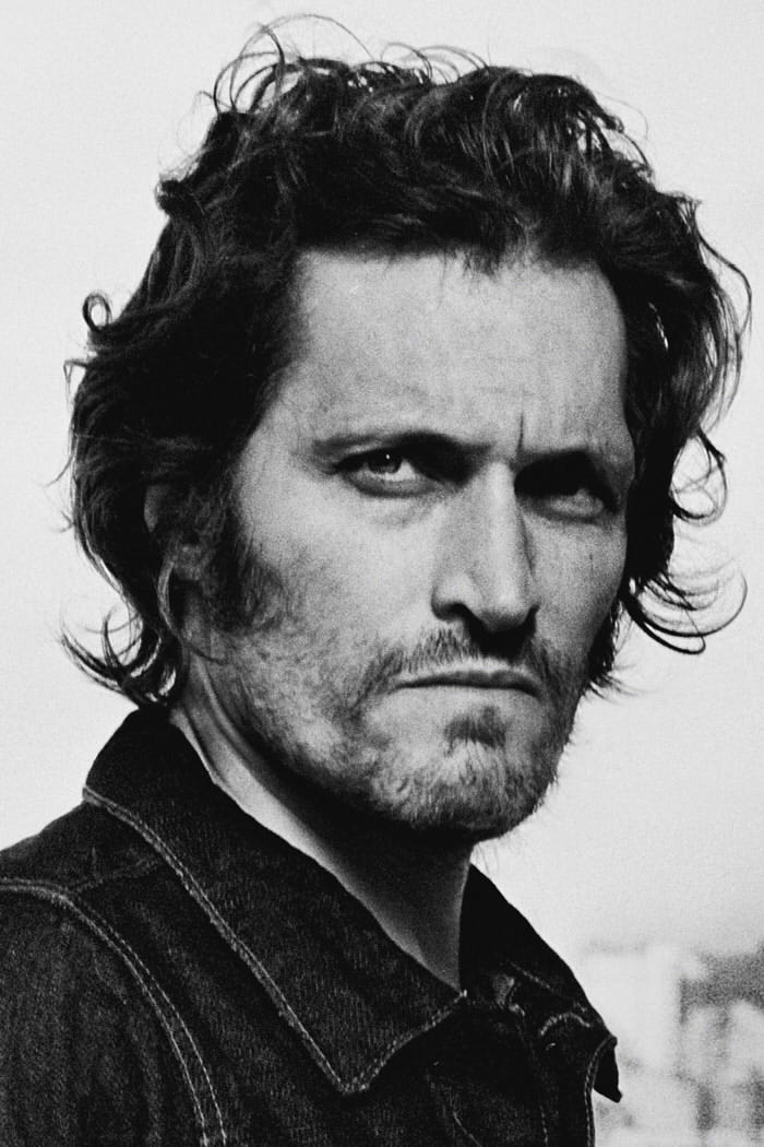 Vincent Gallo's poster