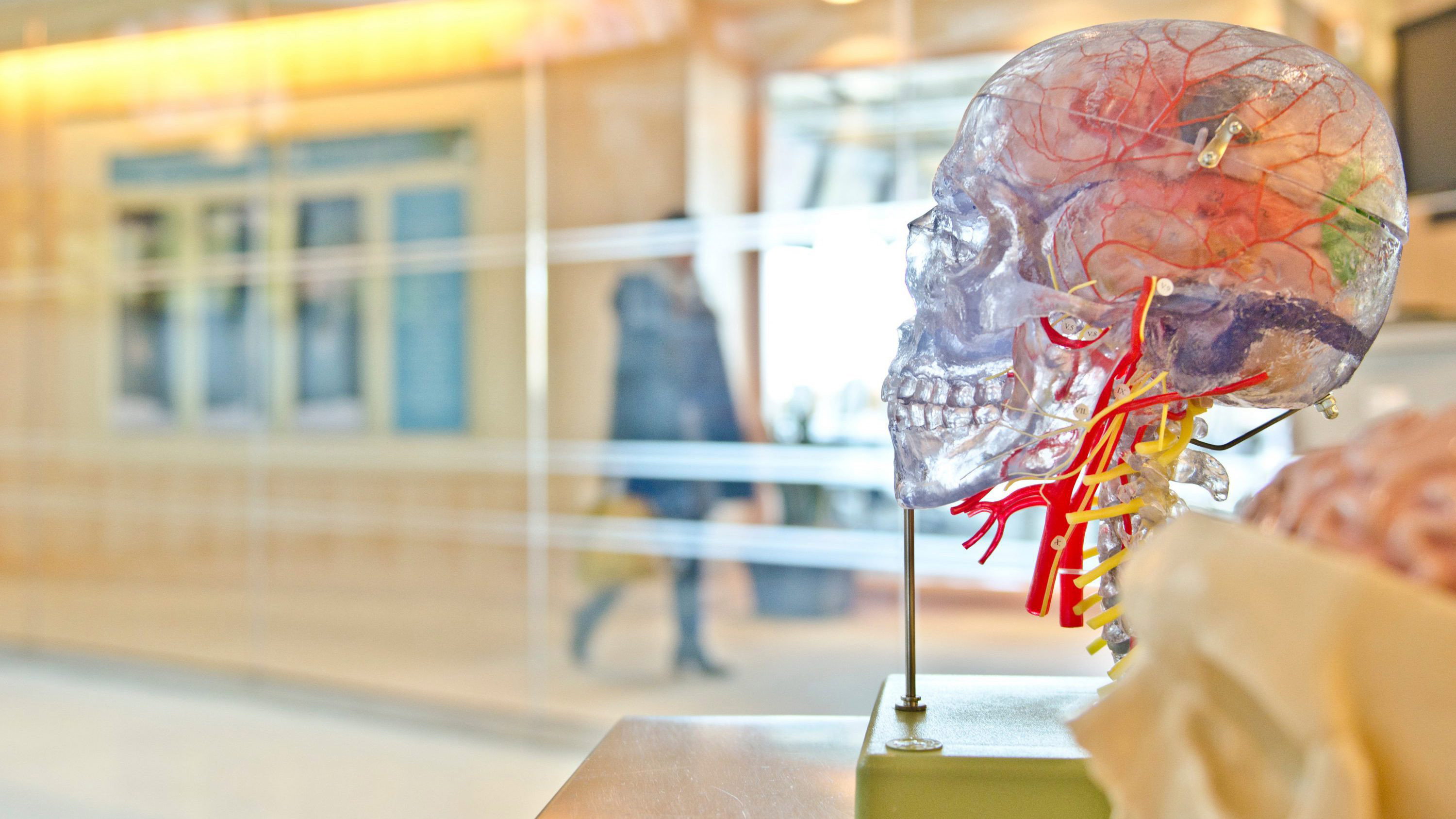 Secrets of the Brain's poster