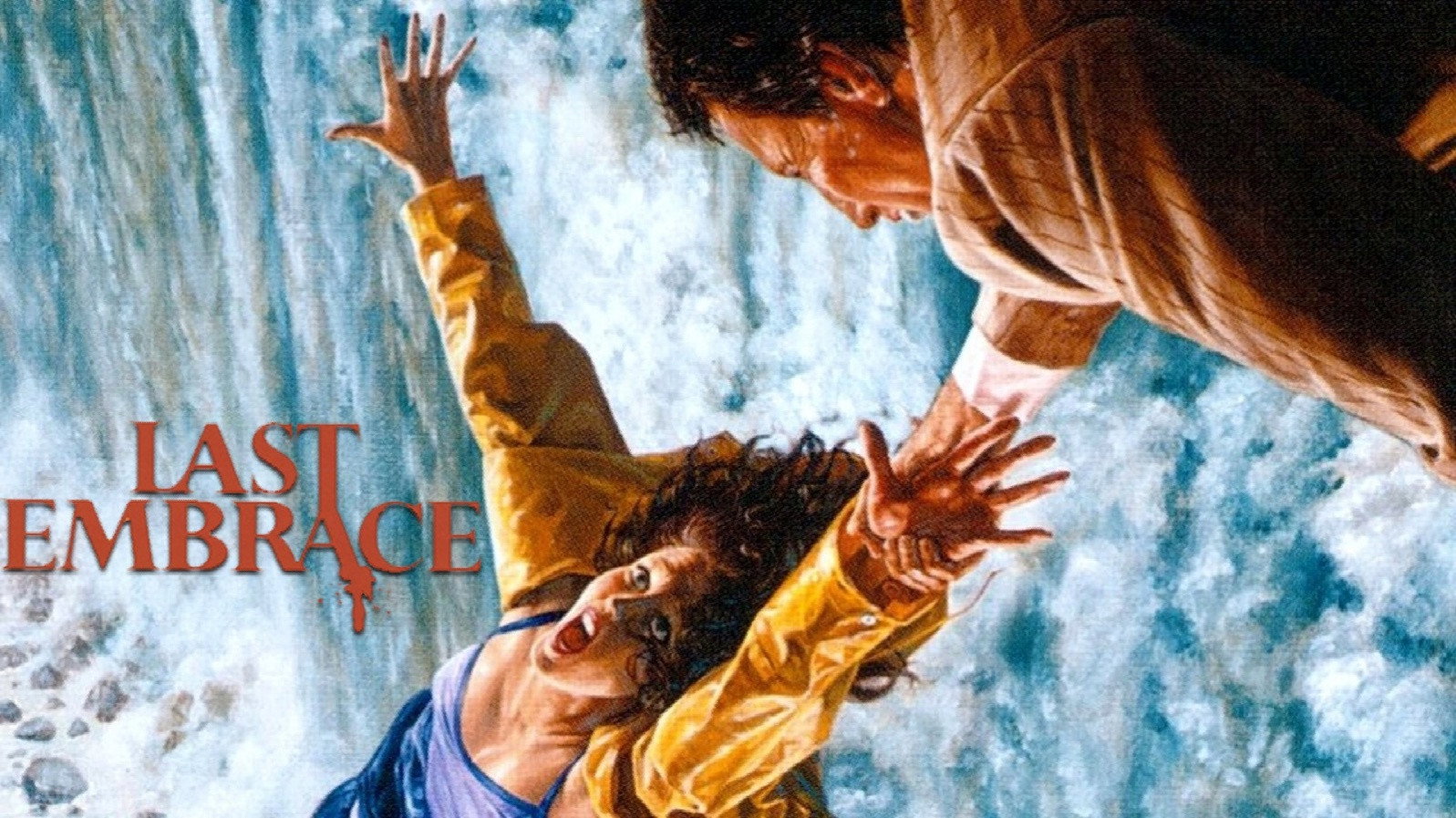 Last Embrace's poster