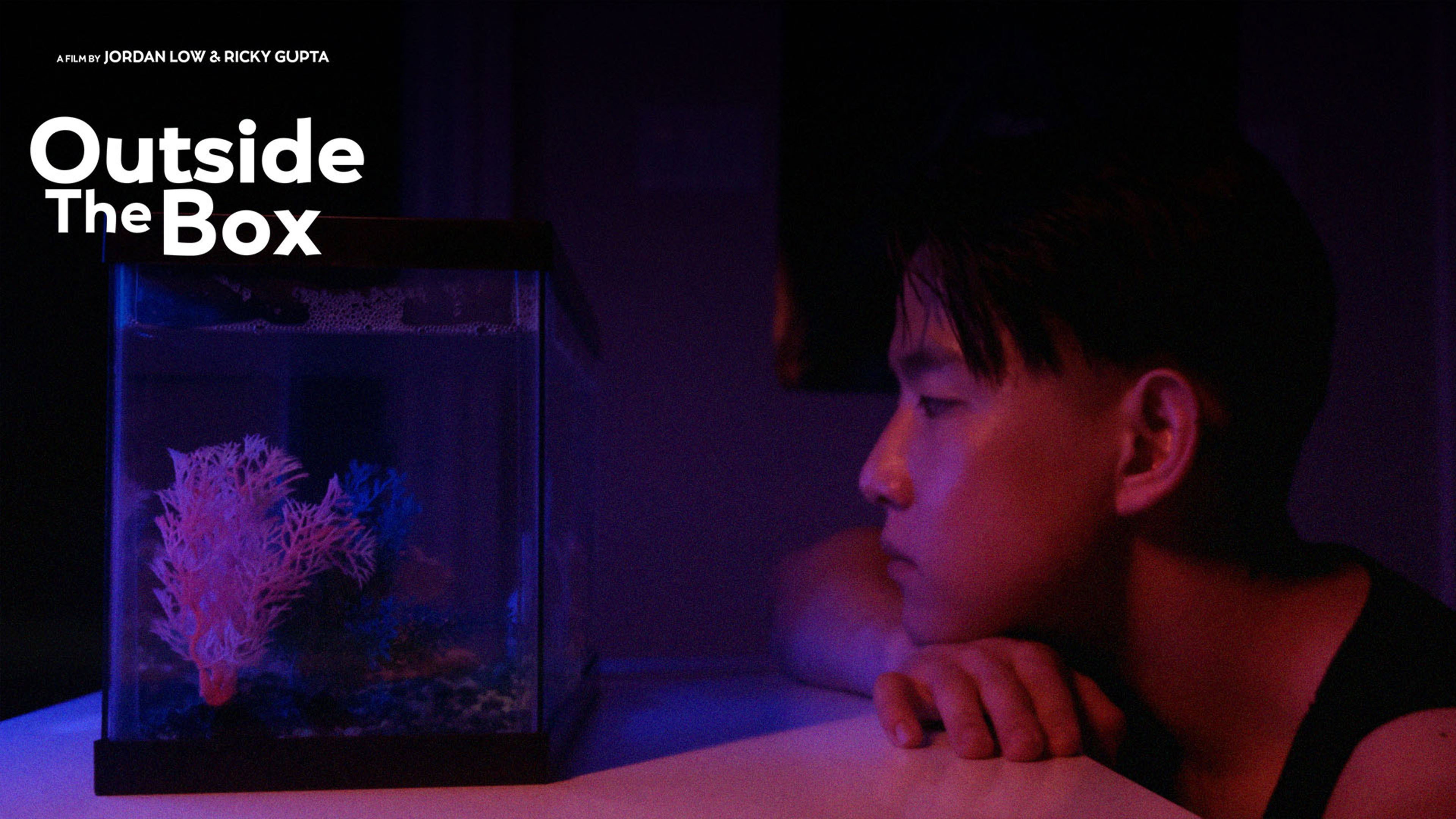 Outside The Box - Short's poster