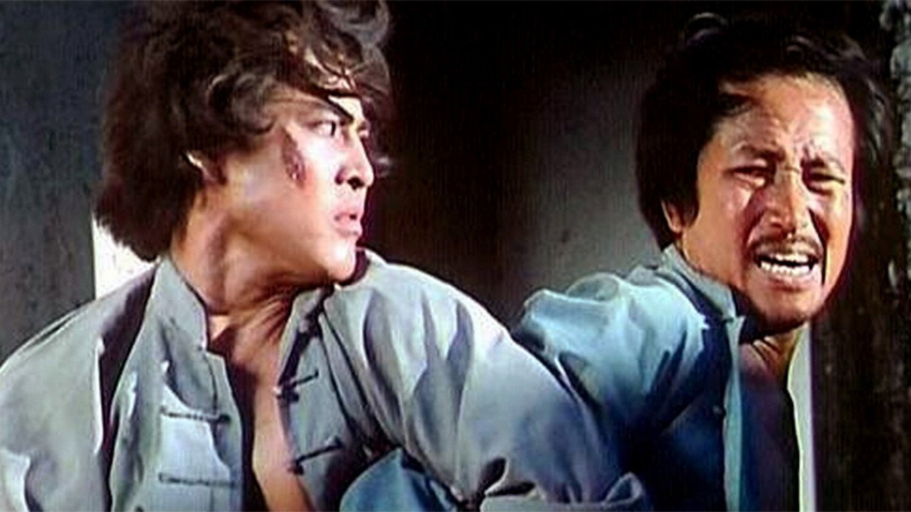 Shaolin Kung Fu's poster