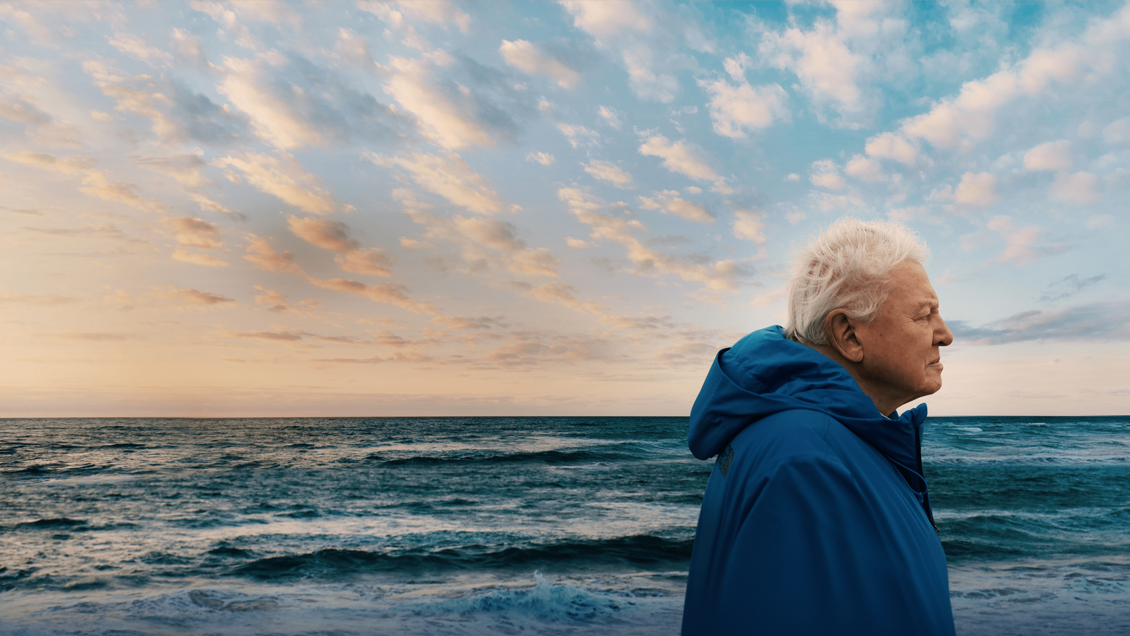 Ocean with David Attenborough's poster