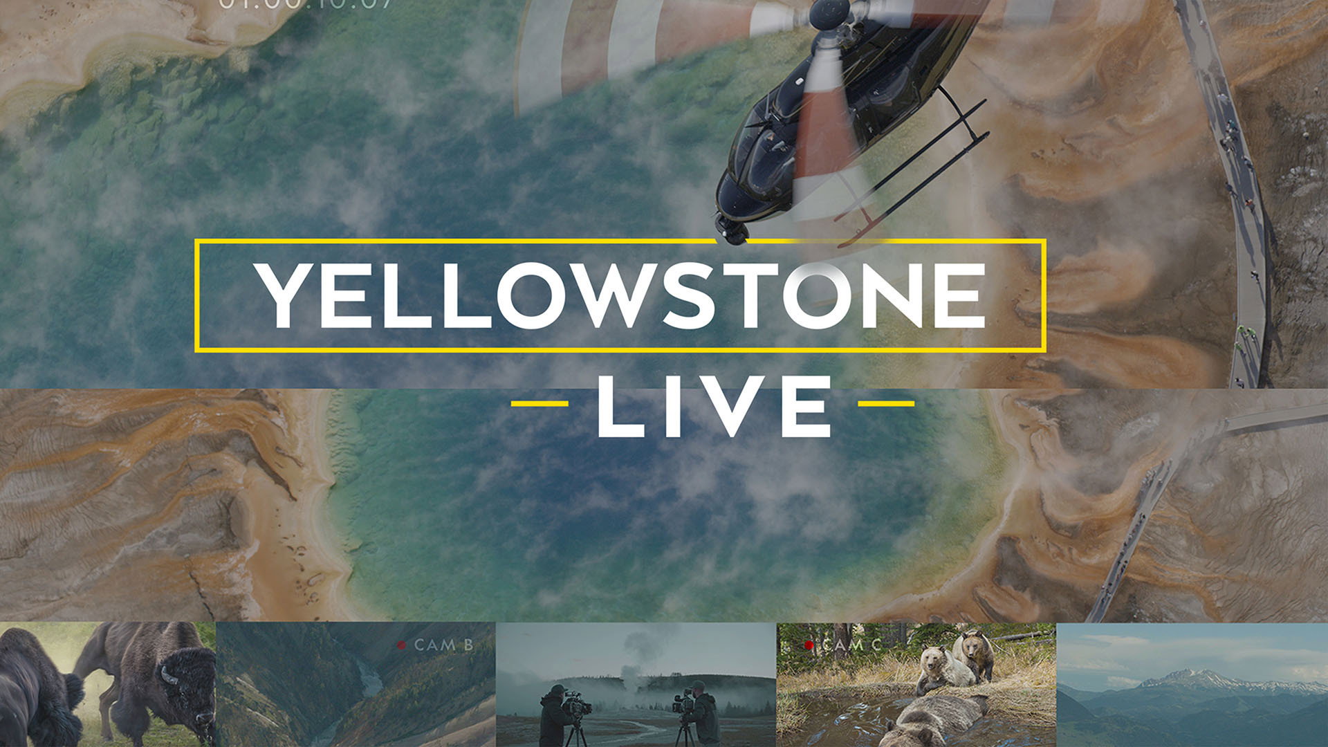 Yellowstone Live's poster