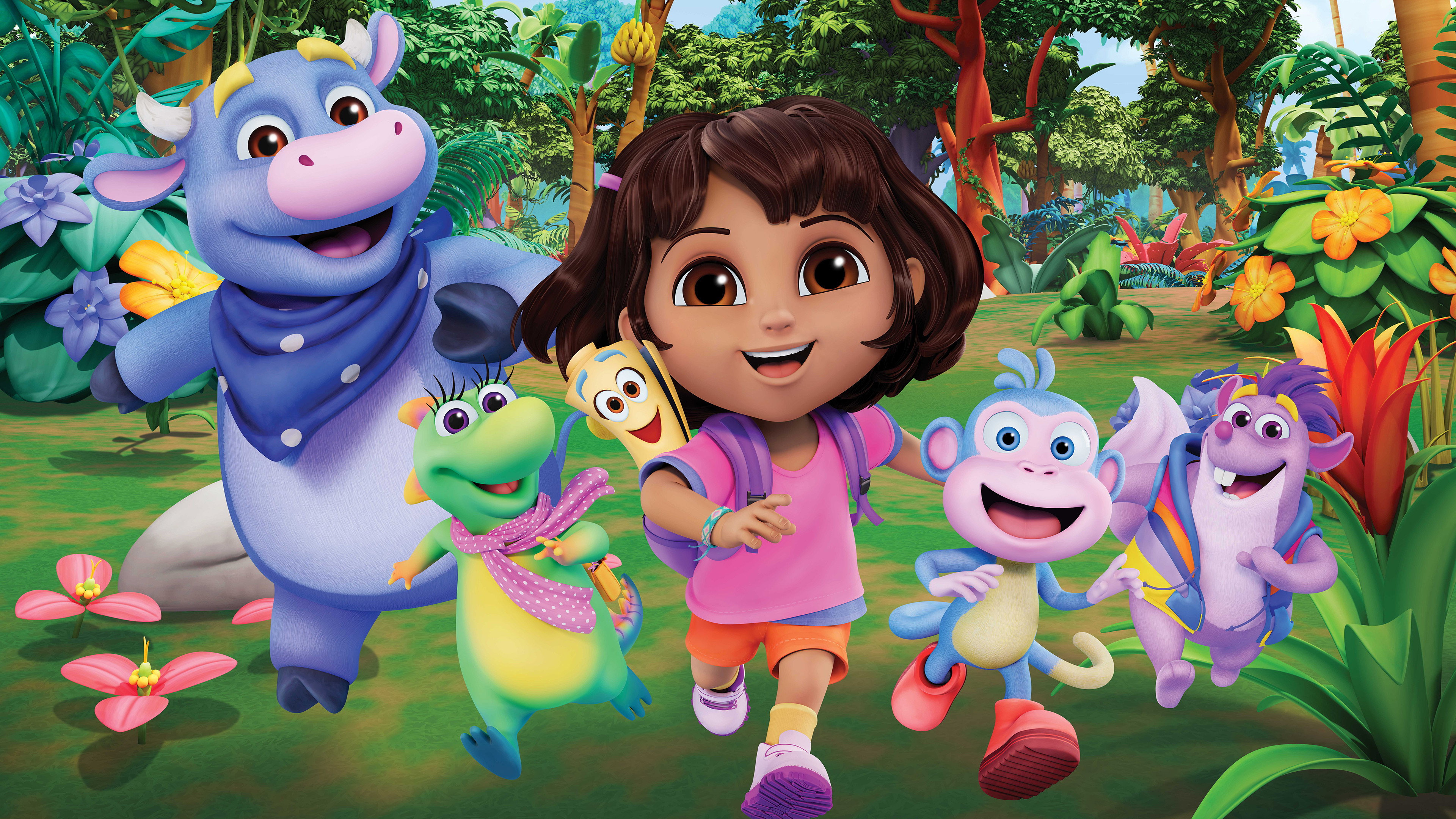 DORA's poster