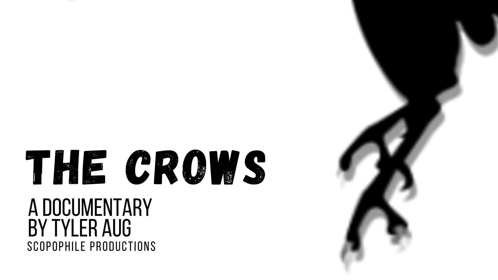The Crows's poster