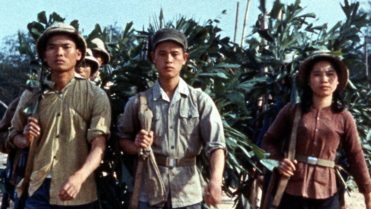 Far from Vietnam's poster