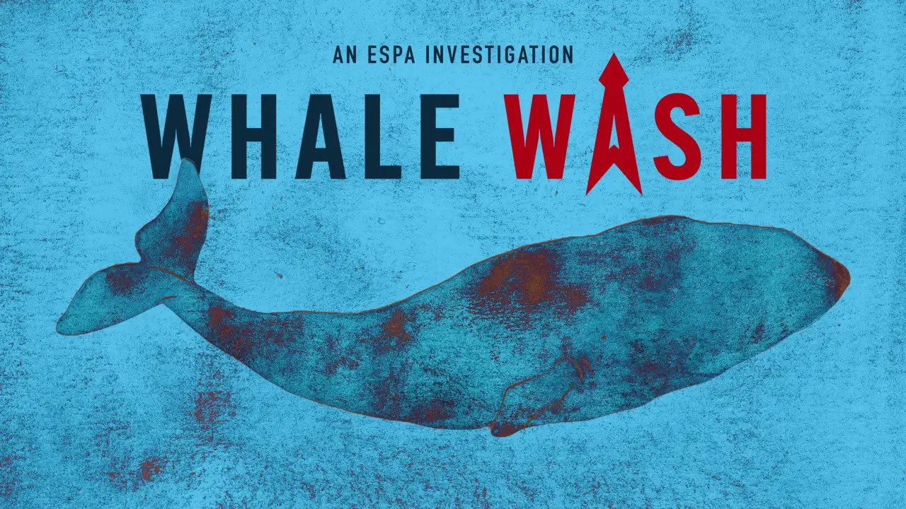 Whale Wash's poster